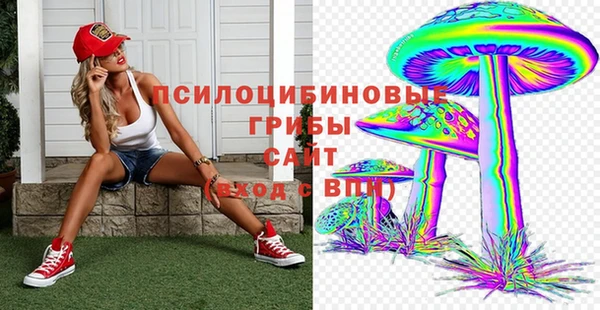 таблы Краснослободск
