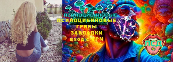 таблы Краснослободск