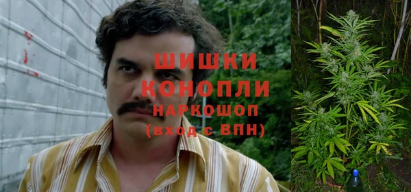 прущие грибы Кукмор