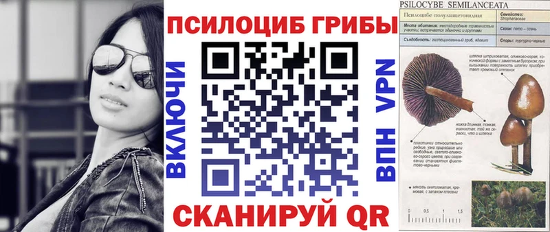 Псилоцибиновые грибы мицелий omg рабочий сайт Калуга