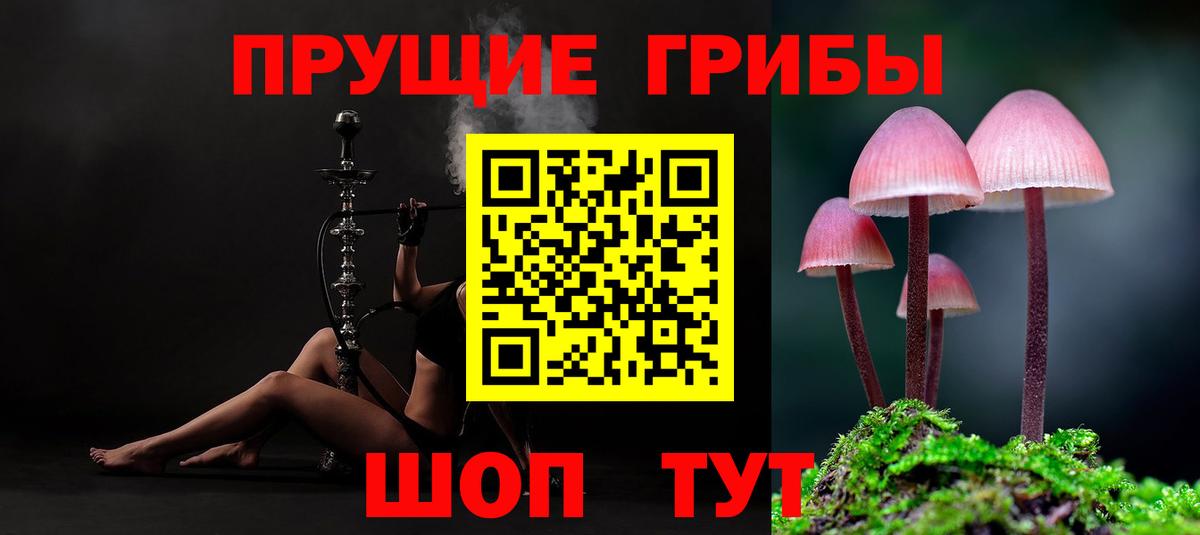 Галлюциногенные грибы прущие грибы  хочу   Калуга  Галлюциногенные грибы GOLDEN TEACHER  Вход с VPN 